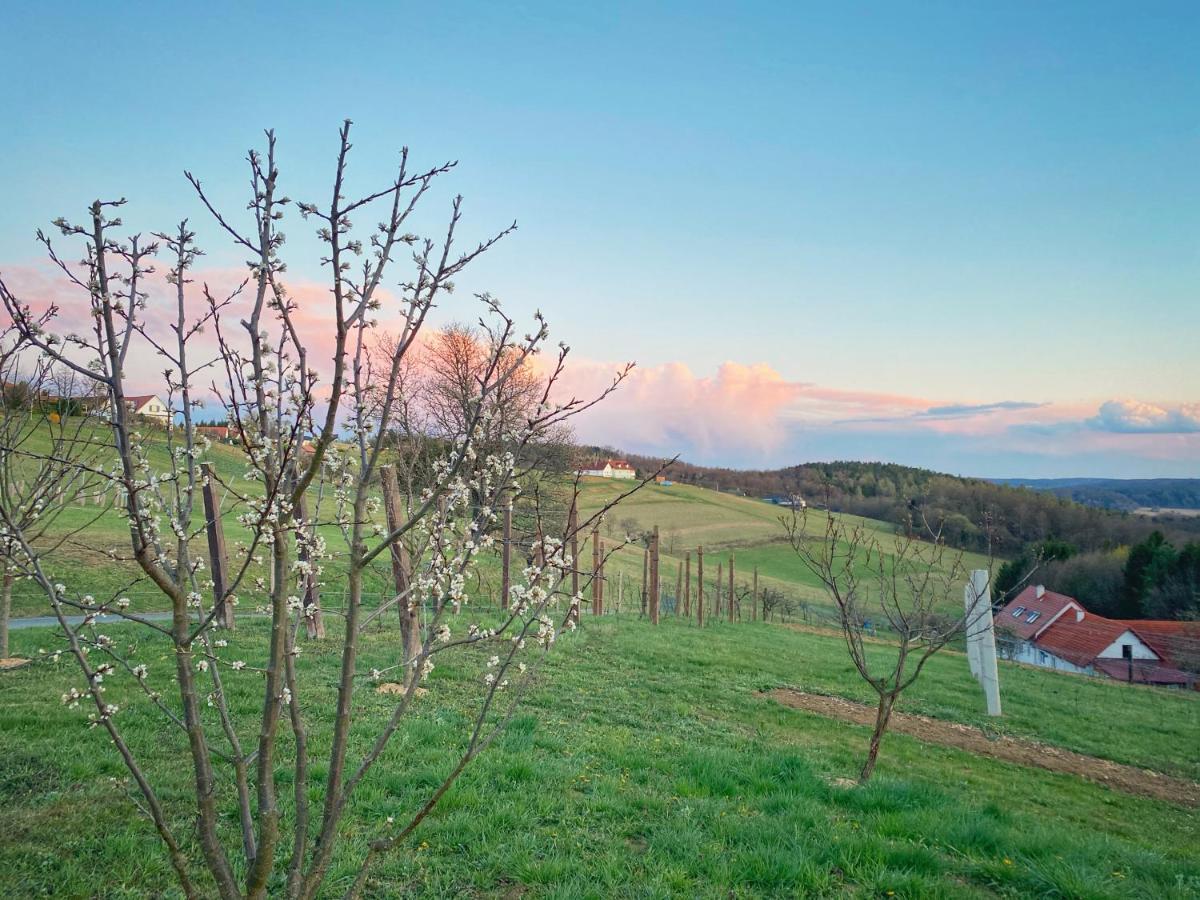 Landhaus Schaller Im Suedburgenland Maria Bild Bagian luar foto