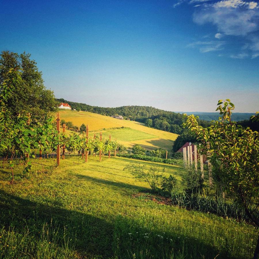 Landhaus Schaller Im Suedburgenland Maria Bild Bagian luar foto